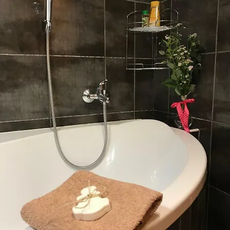 公寓 Rustical In Sumava National Park Nová Pec